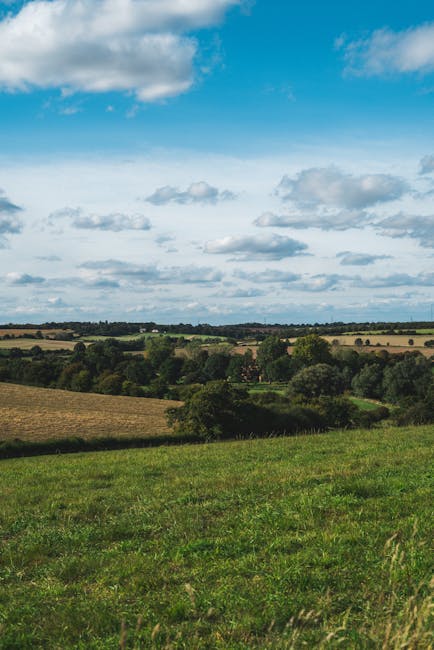 Expansive countryside view with rolling fields and a vibrant sky.